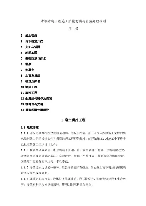 水利水电工程施工质量通病与防范处理导则