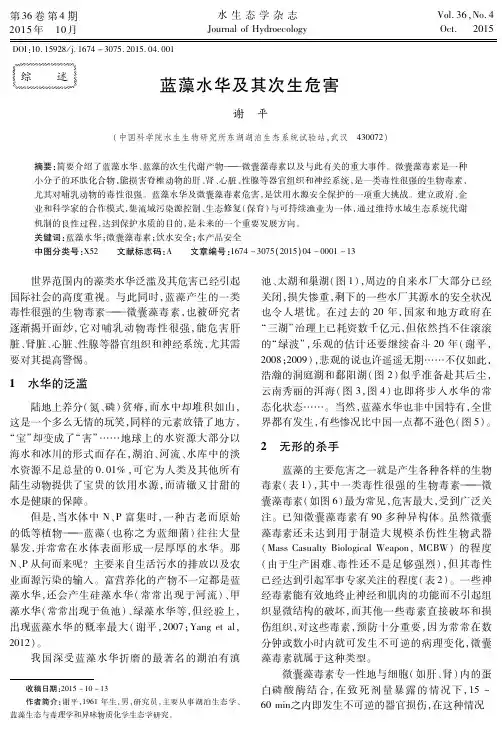 蓝藻水华及其次生危害