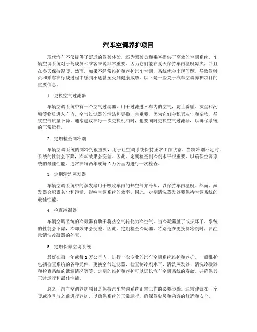 汽车空调养护项目