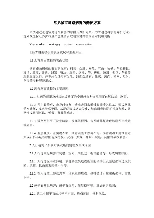 常见城市道路病害的养护方案