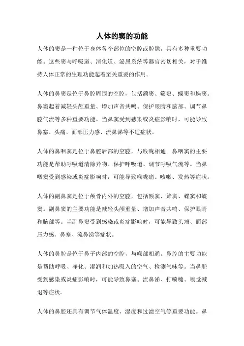 人体的窦的功能