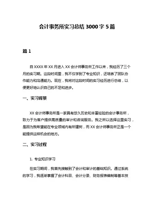 会计事务所实习总结3000字5篇