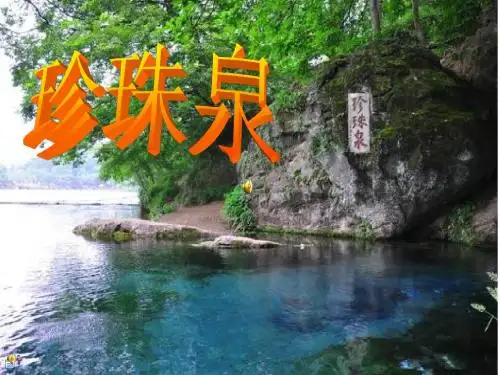 珍珠泉ppt