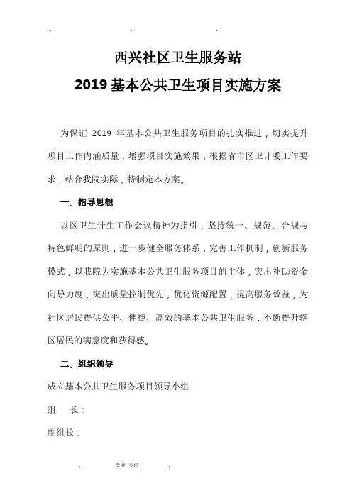 2019年公共卫生服务项目实施计划方案