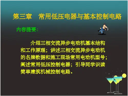 常用低压电器与基本控制电路ppt课件