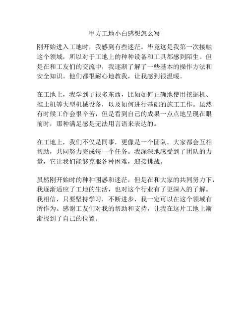 甲方工地小白感想怎么写