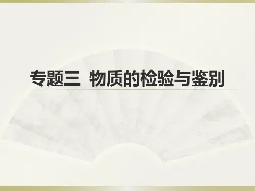 初中化学中考专题复习——物质的检验与鉴别(共22张ppt)