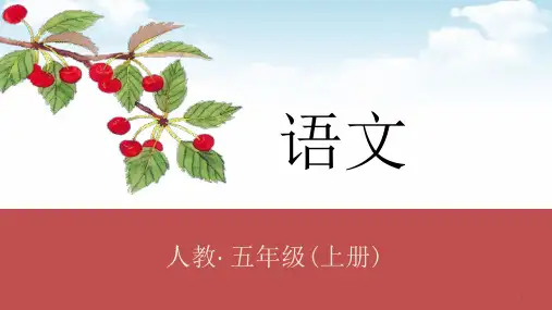 《鸟的天堂》公开课课件