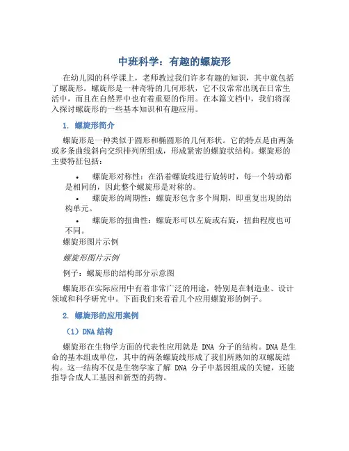 中班科学：有趣的螺旋形