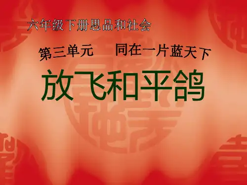 《放飞和平鸽》同在一片蓝天下PPT课件3