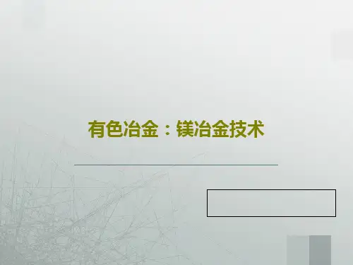 有色冶金：镁冶金技术共25页文档
