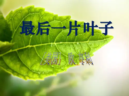 《最后一片叶子》北师大版七年级语文上册课件PPT(5篇)