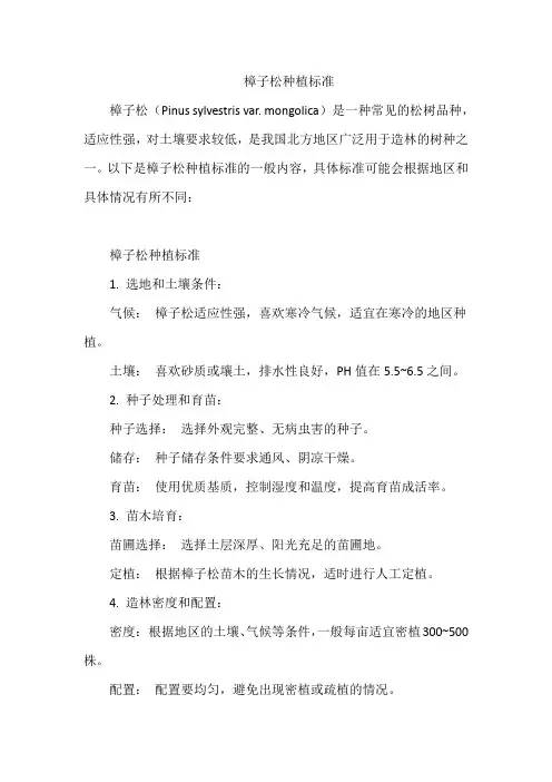 樟子松种植标准