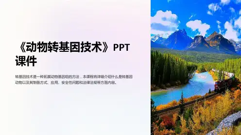 《动物转基因技术》课件