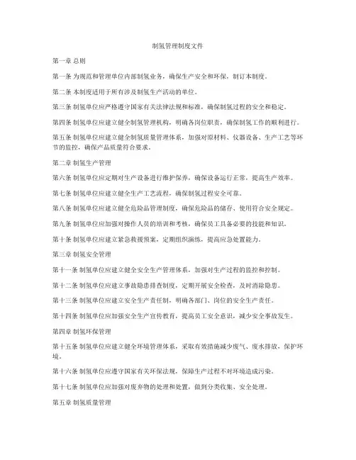 制氢管理制度文件