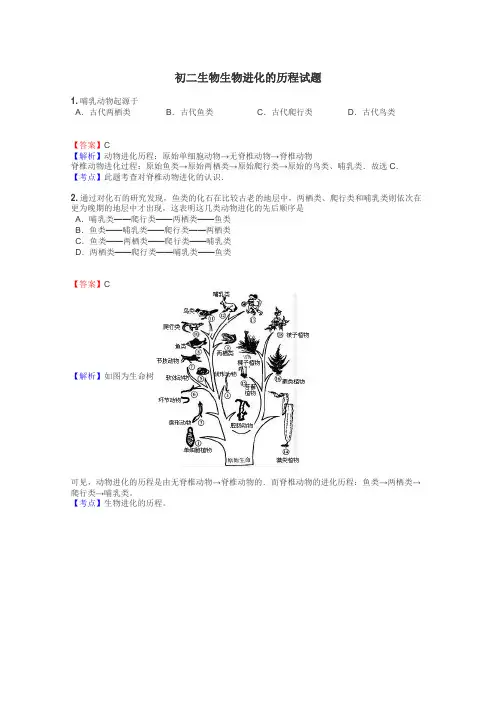 初二生物生物进化的历程试题
