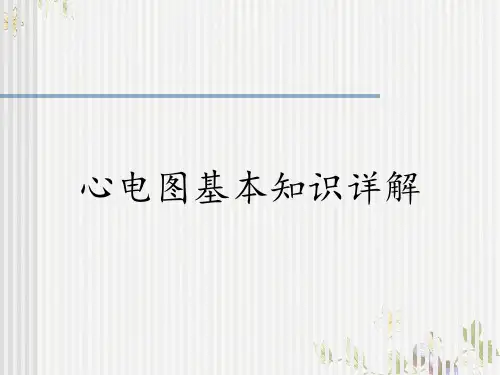 心电图基本知识详解