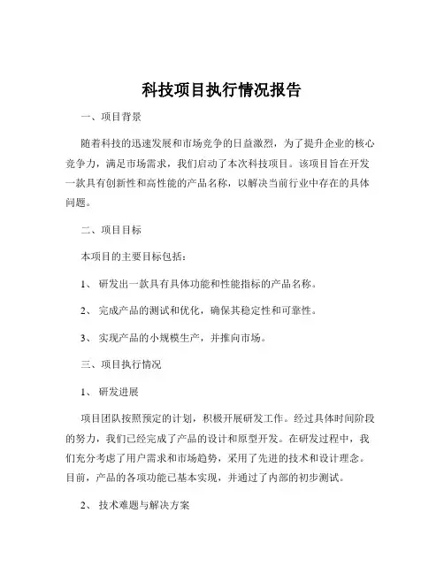 科技项目执行情况报告