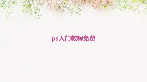 2024ps入门教程免费