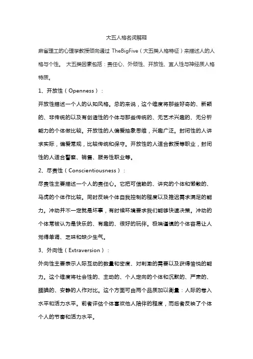 大五人格名词解释