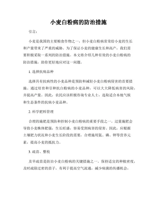 小麦白粉病的防治措施