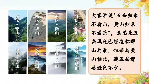 黄山奇石ppt课件