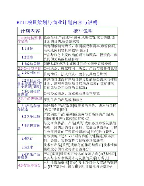 BTII项目策划与商业计划内容与说明