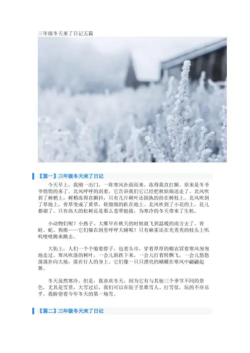 三年级冬天来了日记五篇