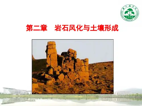 第二章 岩石风化与土壤形成