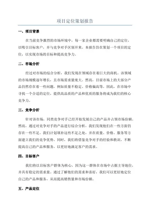 项目定位策划报告