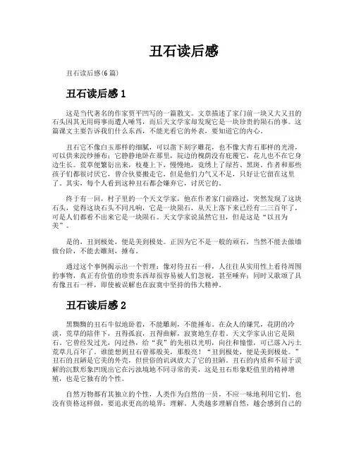 丑石读后感