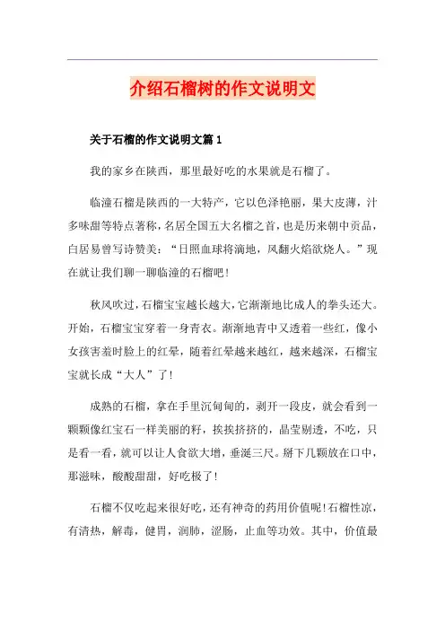 介绍石榴树的作文说明文