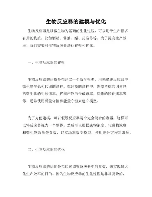 生物反应器的建模与优化