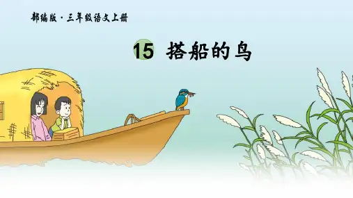 15.《搭船的鸟》课件(共43张PPT).ppt