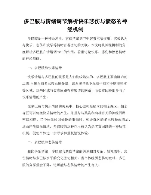 多巴胺与情绪调节解析快乐悲伤与愤怒的神经机制