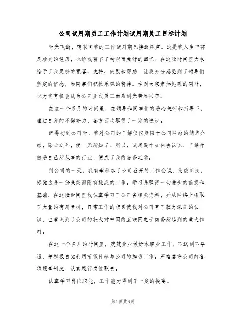 公司试用期员工工作计划试用期员工目标计划(三篇)