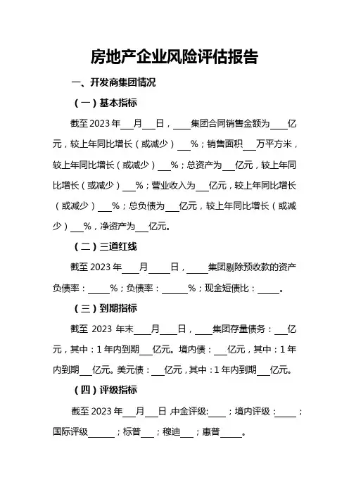 房地产企业风险评估报告