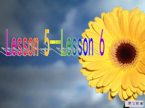新概念第一册lesson5-6课件