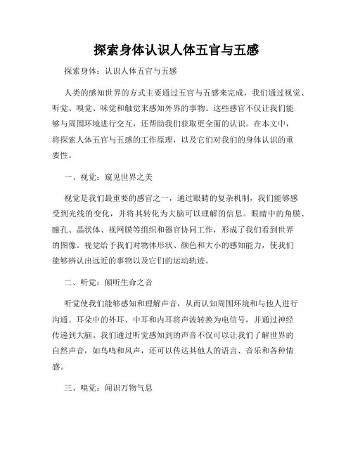 探索身体认识人体五官与五感