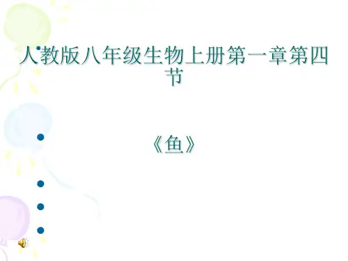 人教版生物八上5.1.4《鱼》教学课件(共23张PPT)