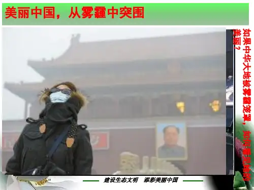消除雾霾保护环境构建和谐社会.pptx