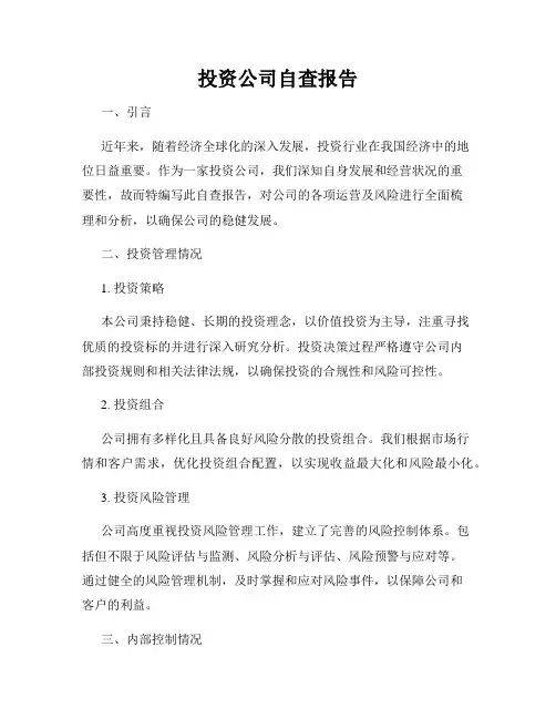 投资公司自查报告