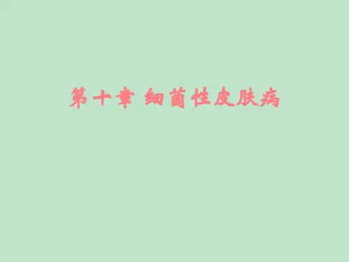 《皮肤病》细菌性皮肤病