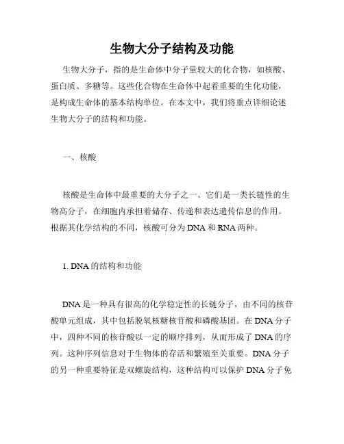 生物大分子结构及功能