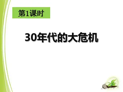 《30年代的大危机》开辟新的发展道路-人教版历史与社会九年级上册