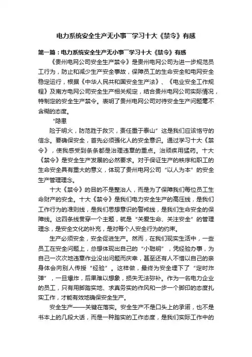 电力系统安全生产无小事――学习十大《禁令》有感