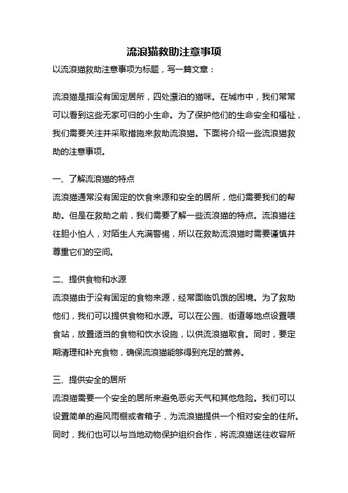 流浪猫救助注意事项