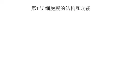 高中生物新教材《细胞膜的结构和功能》PPT课件