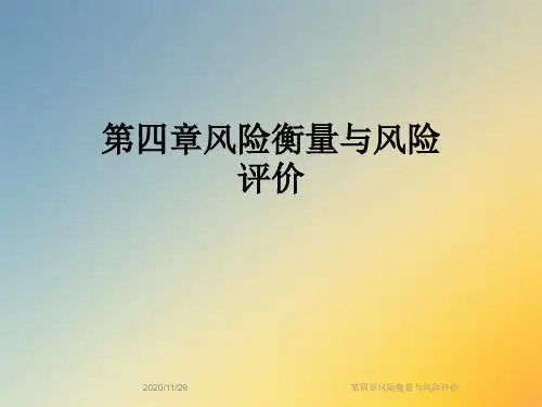 第四章风险衡量与风险评价