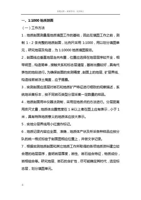 地质填图要求及规范